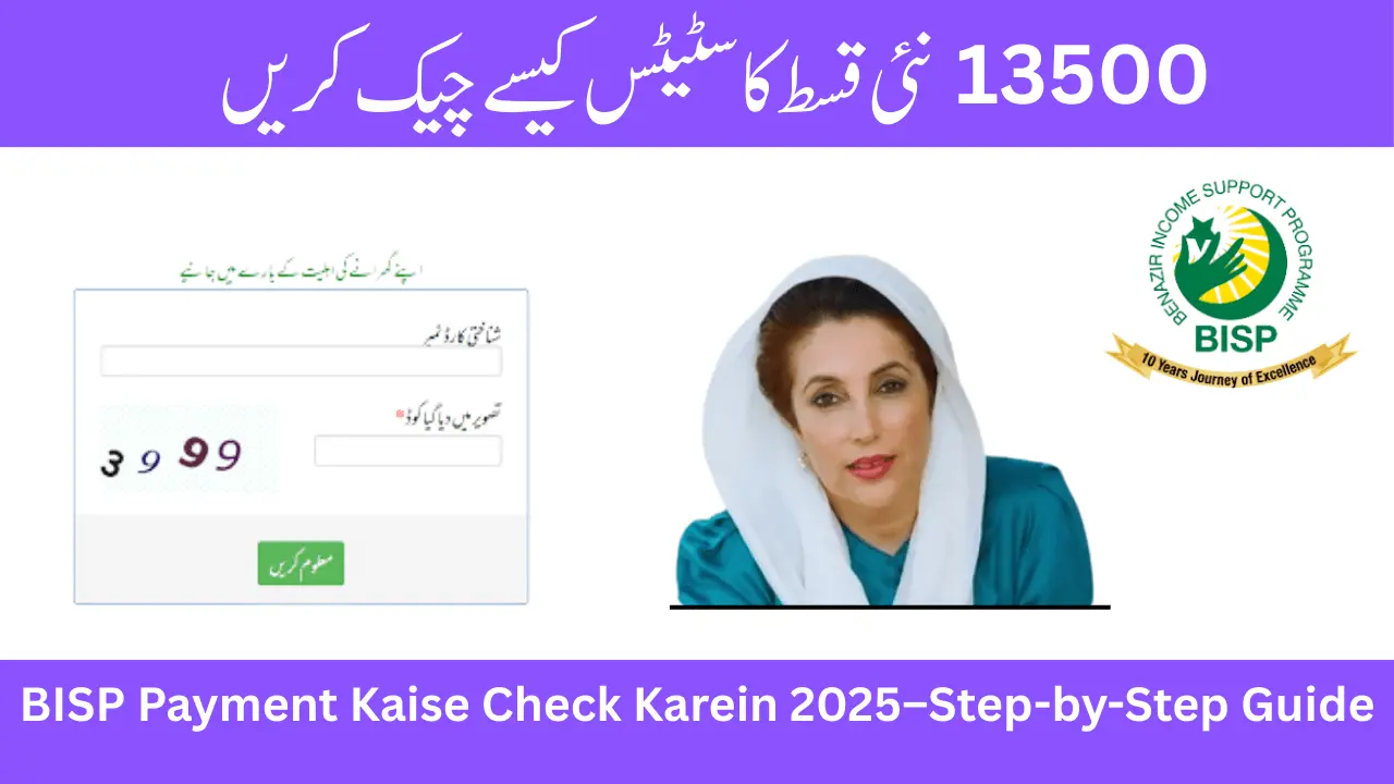 How To Check BISP payment